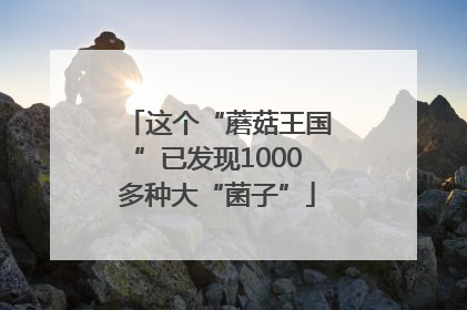 这个“蘑菇王国”已发现1000多种大“菌子”