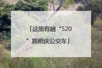 这里有趟“520”路婚庆公交车
