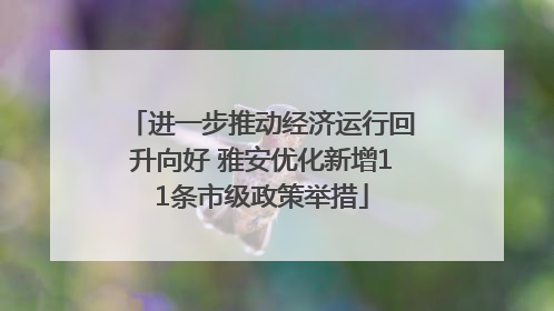 进一步推动经济运行回升向好 雅安优化新增11条市级政策举措