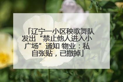 辽宁一小区秧歌舞队发出“禁止他人进入小广场”通知 物业：私自张贴，已撤掉
