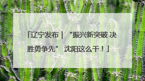 辽宁发布｜“振兴新突破 决胜勇争先” 沈阳这么干！