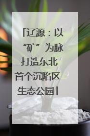 辽源：以“矿”为脉 打造东北首个沉陷区生态公园