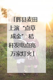 辉县麦田上演“点草成金” 秸秆发电点亮万家灯火