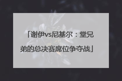 谢伊vs尼基尔：堂兄弟的总决赛席位争夺战