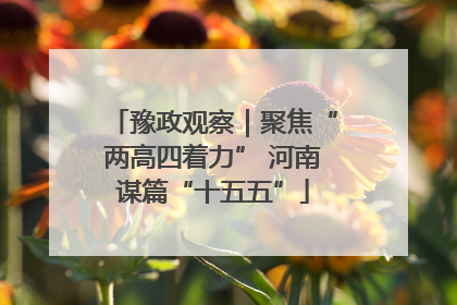 豫政观察｜聚焦“两高四着力” 河南谋篇“十五五”