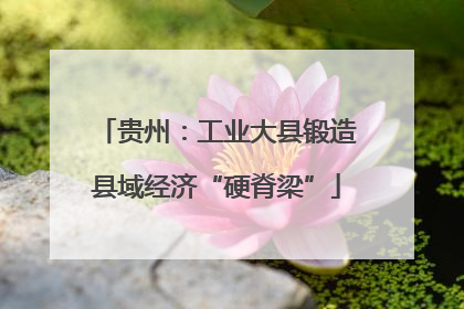 贵州：工业大县锻造县域经济“硬脊梁”