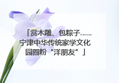 赏木雕、包粽子……宁津中华传统家学文化园圈粉“洋朋友”
