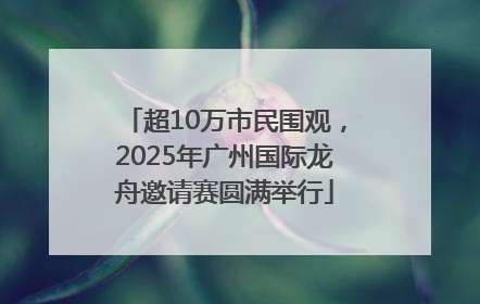 超10万市民围观，2025年广州国际龙舟邀请赛圆满举行