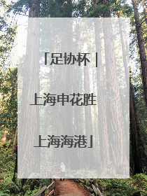 足协杯｜上海申花胜上海海港