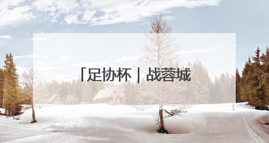 足协杯｜战蓉城泰山来到十字路口，不管输赢，新老交替势在必行