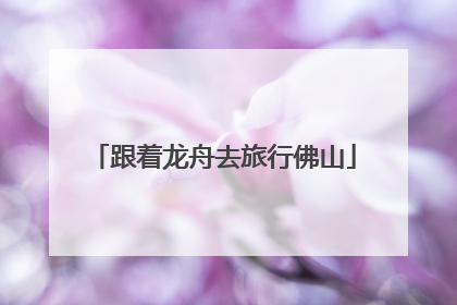 跟着龙舟去旅行佛山