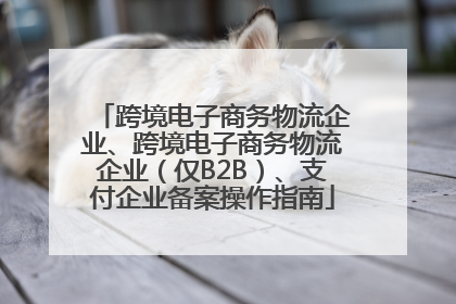 跨境电子商务物流企业、跨境电子商务物流企业（仅B2B）、支付企业备案操作指南