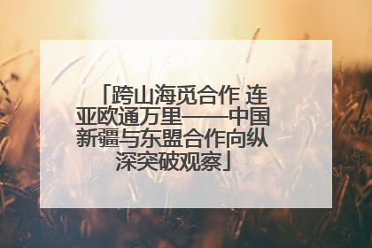 跨山海觅合作 连亚欧通万里——中国新疆与东盟合作向纵深突破观察