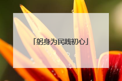 躬身为民践初心