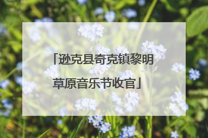 逊克县奇克镇黎明草原音乐节收官