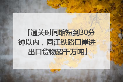 通关时间缩短到30分钟以内，同江铁路口岸进出口货物超千万吨