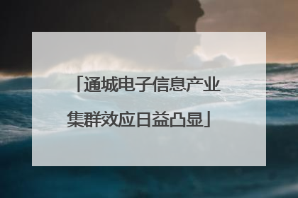 通城电子信息产业集群效应日益凸显