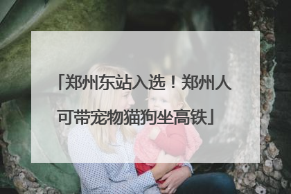 郑州东站入选！郑州人可带宠物猫狗坐高铁