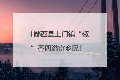 郧西县土门镇“椒”香四溢富乡民