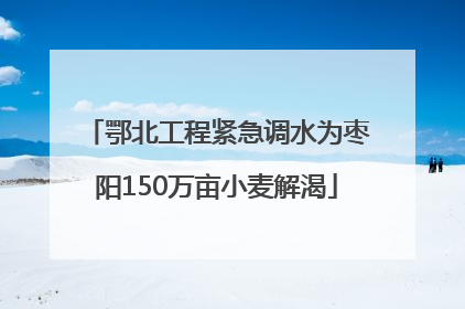 鄂北工程紧急调水为枣阳150万亩小麦解渴