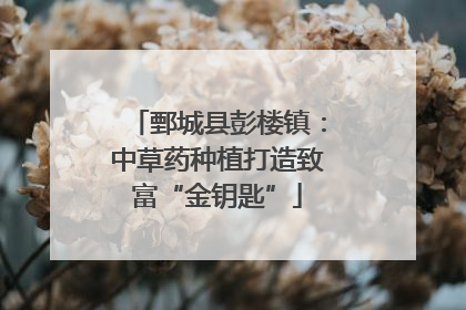 鄄城县彭楼镇：中草药种植打造致富“金钥匙”