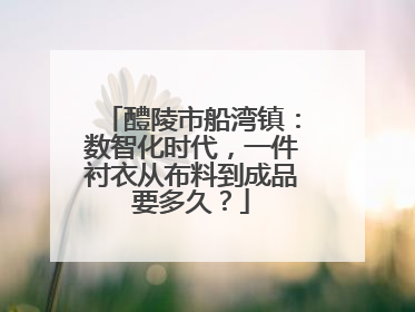 醴陵市船湾镇：数智化时代，一件衬衣从布料到成品要多久？