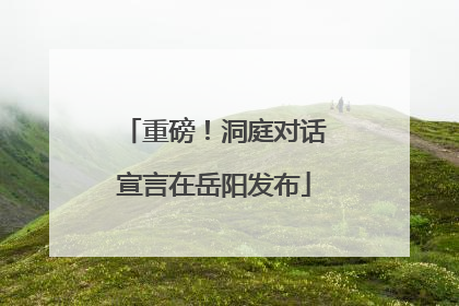 重磅！洞庭对话宣言在岳阳发布
