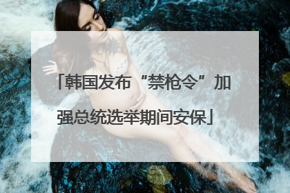 韩国发布“禁枪令”加强总统选举期间安保