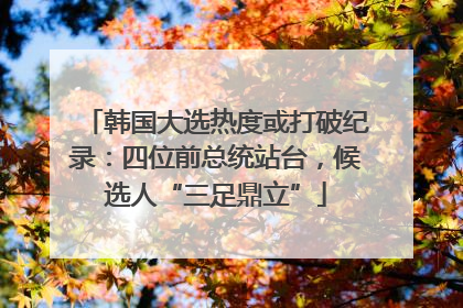 韩国大选热度或打破纪录：四位前总统站台，候选人“三足鼎立”