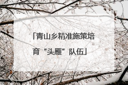 青山乡精准施策培育“头雁”队伍