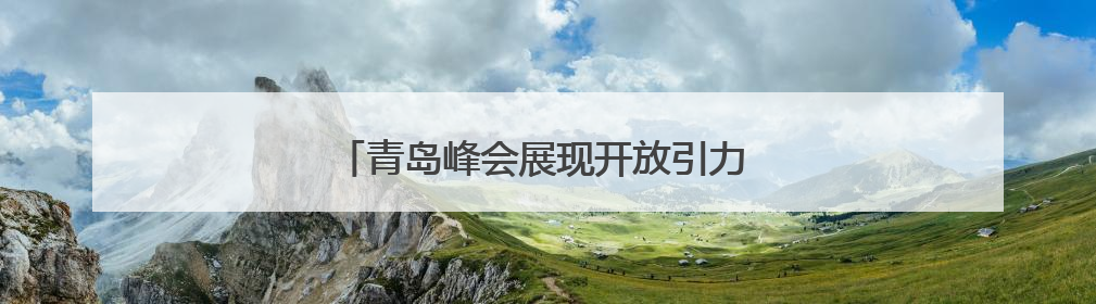 青岛峰会展现开放引力 跨国公司加码投资中国