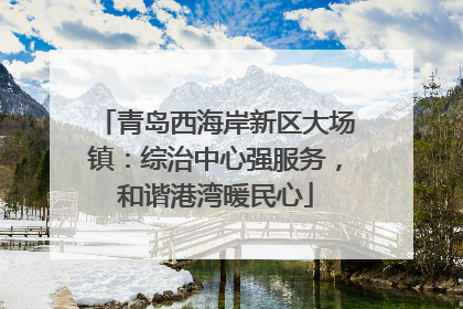 青岛西海岸新区大场镇：综治中心强服务，和谐港湾暖民心