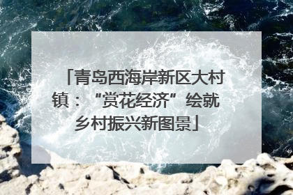 青岛西海岸新区大村镇：“赏花经济”绘就乡村振兴新图景