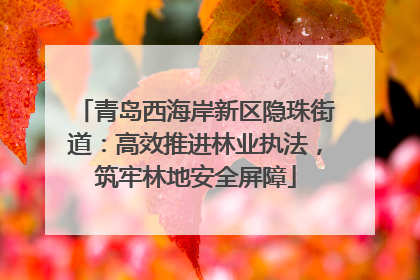 青岛西海岸新区隐珠街道：高效推进林业执法，筑牢林地安全屏障