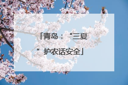 青岛：“三夏”护农话安全