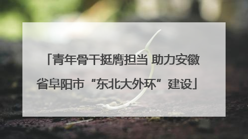 青年骨干挺膺担当 助力安徽省阜阳市“东北大外环”建设