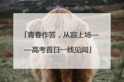青春作答，从容上场——高考首日一线见闻