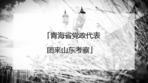 青海省党政代表团来山东考察