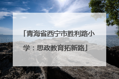 青海省西宁市胜利路小学：思政教育拓新路