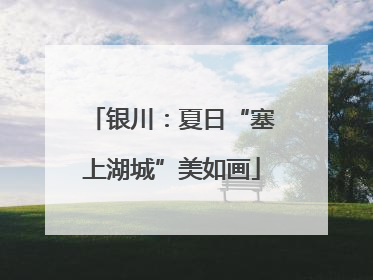 银川：夏日“塞上湖城”美如画