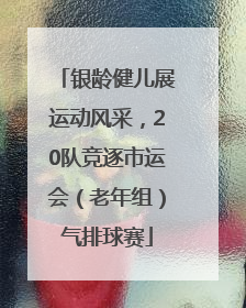 银龄健儿展运动风采，20队竞逐市运会（老年组）气排球赛
