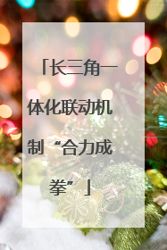 长三角一体化联动机制“合力成拳”