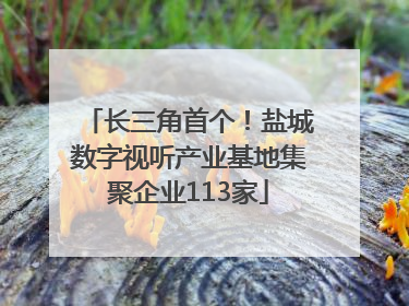 长三角首个！盐城数字视听产业基地集聚企业113家