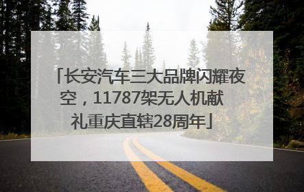 长安汽车三大品牌闪耀夜空，11787架无人机献礼重庆直辖28周年