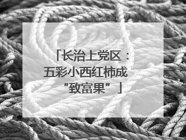 长治上党区：五彩小西红柿成“致富果”