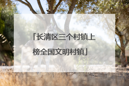 长清区三个村镇上榜全国文明村镇