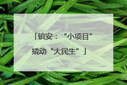 镇安：“小项目”撬动“大民生”