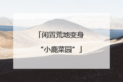 闲置荒地变身“小鹿菜园”