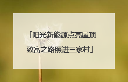 阳光新能源点亮屋顶 致富之路照进三家村