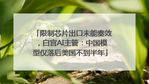 限制芯片出口未能奏效，白宫AI主管：中国模型仅落后美国不到半年